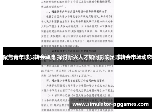聚焦青年球员转会潮流 探讨新兴人才如何影响足球转会市场动态