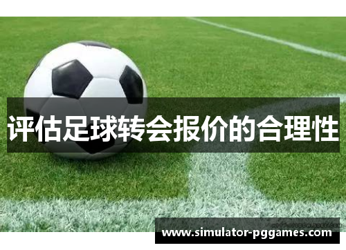 评估足球转会报价的合理性 评估足球转会报价的合理性