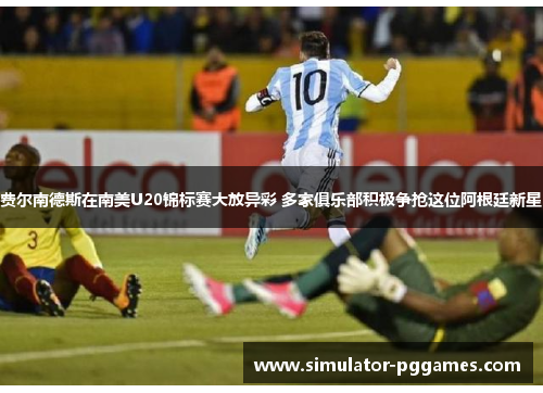 费尔南德斯在南美U20锦标赛大放异彩 多家俱乐部积极争抢这位阿根廷新星 费尔南德斯在南美U20锦标赛大放异彩 多家俱乐部积极争抢这位阿根廷新星