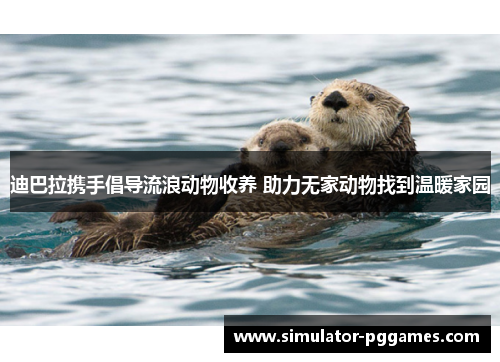 迪巴拉携手倡导流浪动物收养 助力无家动物找到温暖家园