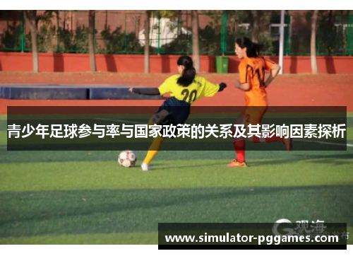 青少年足球参与率与国家政策的关系及其影响因素探析