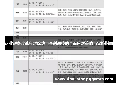 职业联赛改革应对降薪与赛制调整的全面应对策略与实施指南