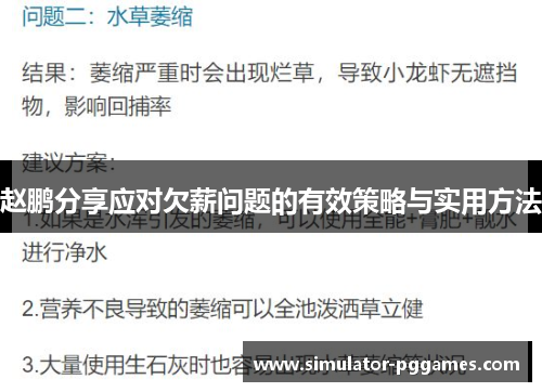 赵鹏分享应对欠薪问题的有效策略与实用方法 赵鹏分享应对欠薪问题的有效策略与实用方法