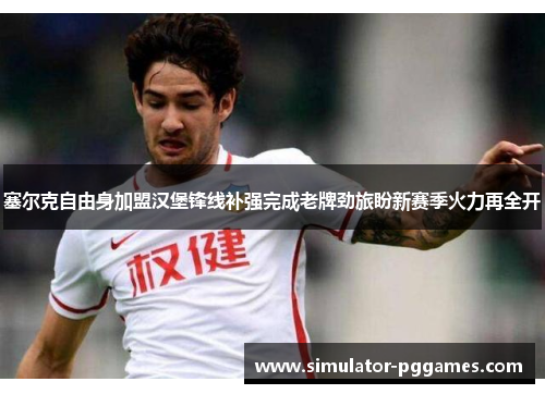 塞尔克自由身加盟汉堡锋线补强完成老牌劲旅盼新赛季火力再全开 塞尔克自由身加盟汉堡锋线补强完成老牌劲旅盼新赛季火力再全开