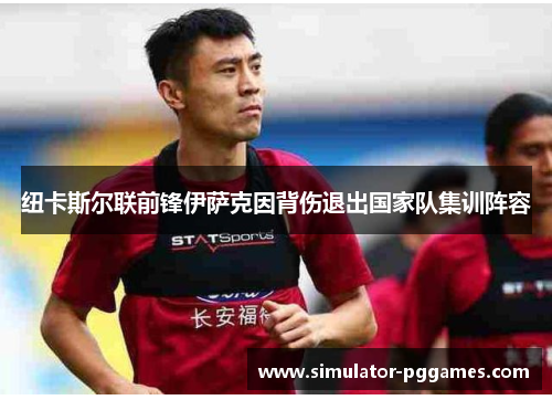 纽卡斯尔联前锋伊萨克因背伤退出国家队集训阵容 纽卡斯尔联前锋伊萨克因背伤退出国家队集训阵容